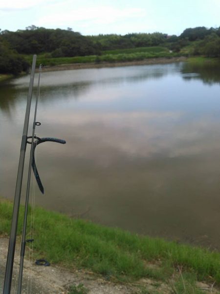 ノーシンカーリグ